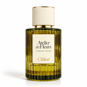 Plage du Figuier EDP