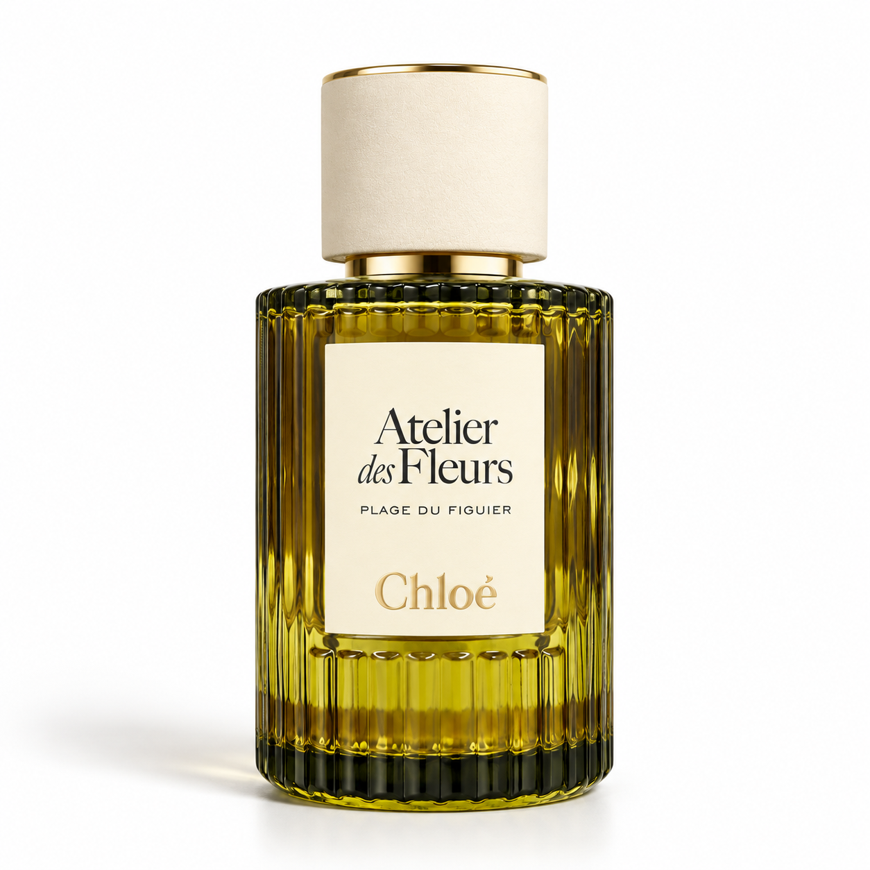 Plage du Figuier EDP