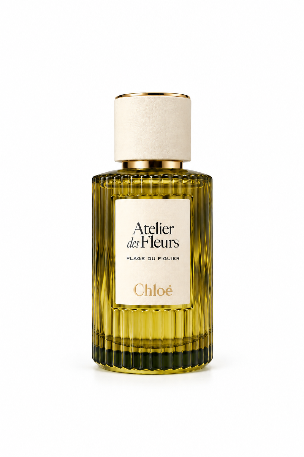 Plage du Figuier EDP